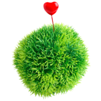 Alga Marimo logo 2022
